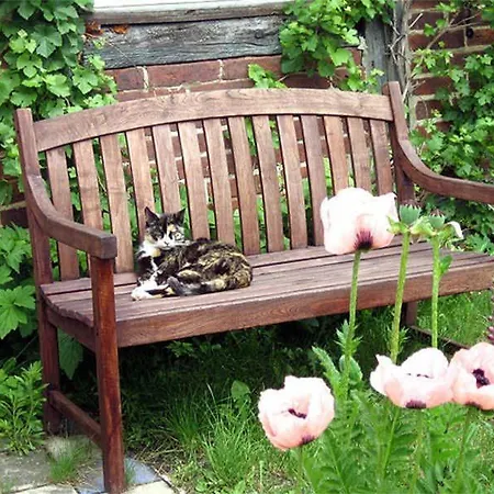 Auf Dem Lande Bauernhof Kittendorf